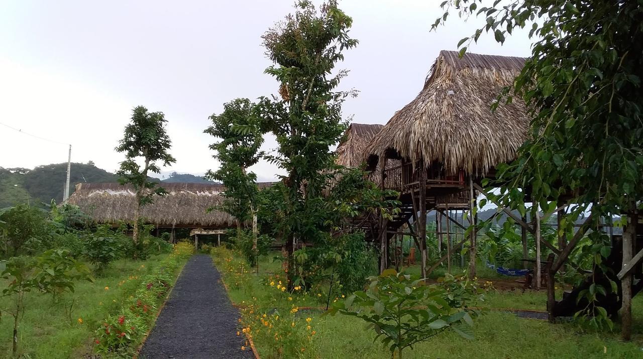 Вілла Sunny Field Eco Stilt House Каттьєн Екстер'єр фото
