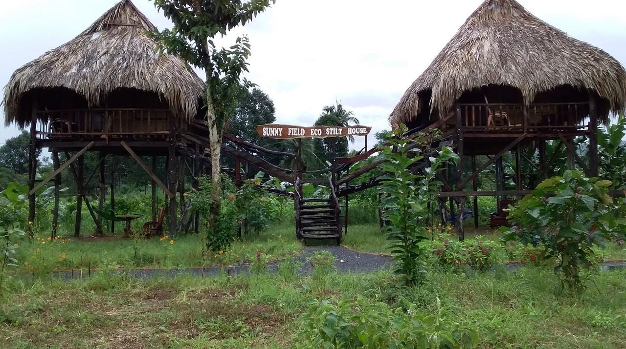 Вілла Sunny Field Eco Stilt House Каттьєн Екстер'єр фото