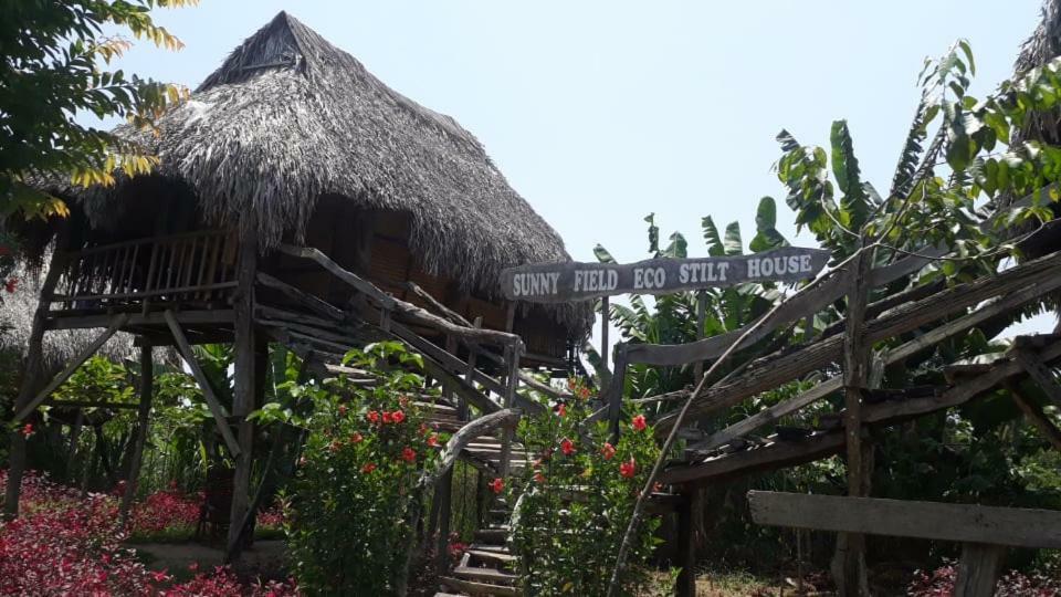 Вілла Sunny Field Eco Stilt House Каттьєн Екстер'єр фото